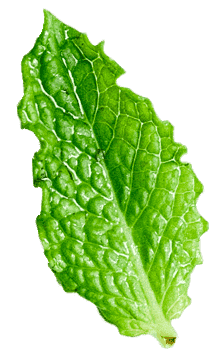 Producto de Ejemplo 2